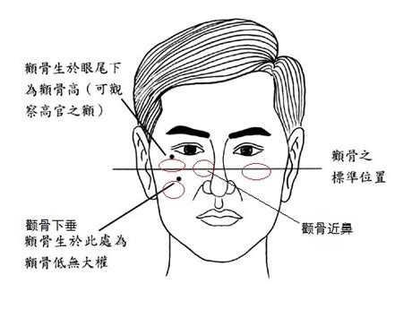 顴骨斑面相|面相算命顴骨圖解